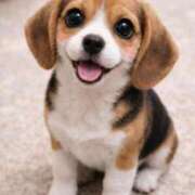 ヒメ日記 2026/03/30 22:19 投稿 悠木 京香 東京貴楼館