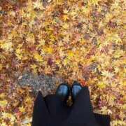 ヒメ日記 2025/11/30 11:42 投稿 ゆめか 東京リップ 池袋店