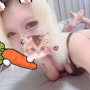 ヒメ日記 2025/10/23 19:33 投稿 きらら★1 奴隷コレクション梅田店