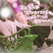 体験ノア いるよ🚗³₃ ツートップ