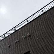 ヒメ日記 2026/02/08 17:12 投稿 篠宮【しのみや】 丸妻 西船橋店