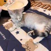 ヒメ日記 2025/11/05 10:03 投稿 福永 さん［L］ モンテクラブ