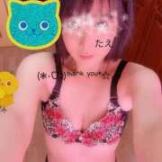 ヒメ日記 2025/11/11 14:58 投稿 ☆たえ☆ ◆プラウディア◆AAA級素人娘在籍店