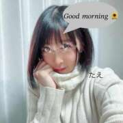 ヒメ日記 2025/11/20 10:08 投稿 ☆たえ☆ ◆プラウディア◆AAA級素人娘在籍店