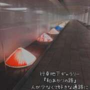 ヒメ日記 2026/02/14 13:44 投稿 ひとみ 出会い系人妻ネットワーク錦糸町～小岩編