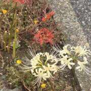 ヒメ日記 2026/02/26 10:44 投稿 小林 MadameRest(マダムレスト)