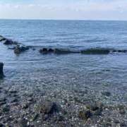 ヒメ日記 2026/03/11 10:36 投稿 小林 MadameRest(マダムレスト)