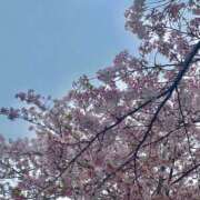 ヒメ日記 2026/04/07 11:10 投稿 小林 MadameRest(マダムレスト)