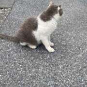 ヒメ日記 2026/04/23 10:51 投稿 小林 MadameRest(マダムレスト)