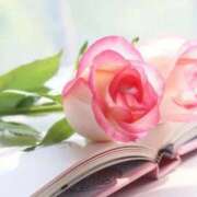 ヒメ日記 2025/11/26 16:35 投稿 ひかり 奥様鉄道69 東京店