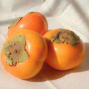 ひかり ポロッと 奥様鉄道69 東京店