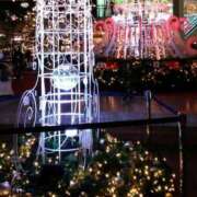 ヒメ日記 2025/12/22 16:15 投稿 ひかり 奥様鉄道69 東京店