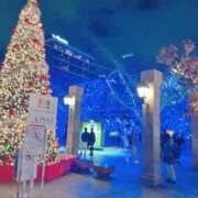 ヒメ日記 2025/12/23 01:02 投稿 みはる 萌えカワ