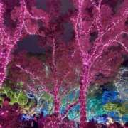 ヒメ日記 2026/01/17 20:14 投稿 みはる 萌えカワ