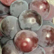 ヒメ日記 2025/11/02 22:44 投稿 新人ゆなちゃん ラブチャンス