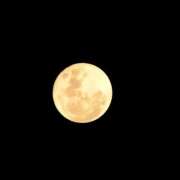 ヒメ日記 2025/11/05 15:42 投稿 どむ 熟女の風俗最終章 本厚木店