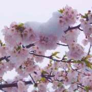 ヒメ日記 2026/03/03 11:02 投稿 どむ 熟女の風俗最終章 本厚木店