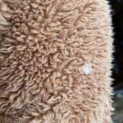 ヒメ日記 2026/03/10 08:21 投稿 どむ 熟女の風俗最終章 本厚木店