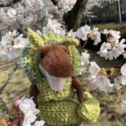 ヒメ日記 2026/04/12 21:41 投稿 どむ 熟女の風俗最終章 本厚木店