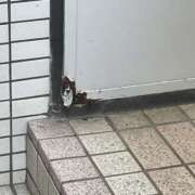 ヒメ日記 2026/05/18 16:51 投稿 どむ 熟女の風俗最終章 本厚木店