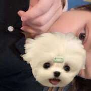 ヒメ日記 2025/11/14 16:40 投稿 あゆ 京都出張メンズエステChou Chou（シュシュ)