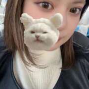 ヒメ日記 2025/12/28 14:50 投稿 あゆ 京都出張メンズエステChou Chou（シュシュ)