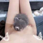 ヒメ日記 2025/11/09 12:22 投稿 月城とうか ウルトラプラチナム