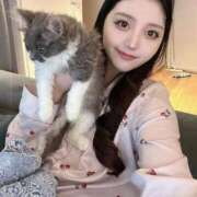 ヒメ日記 2025/11/16 12:03 投稿 月城とうか ウルトラプラチナム