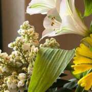 白川ももね お詫び 五反田ウルトラファンタジー