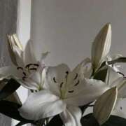 ヒメ日記 2026/01/16 18:27 投稿 白川ももね 五反田ウルトラファンタジー