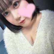 ヒメ日記 2026/02/01 03:37 投稿 白川ももね 五反田ウルトラファンタジー