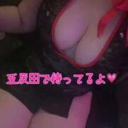 ヒメ日記 2026/02/14 19:27 投稿 白川ももね 五反田ウルトラファンタジー