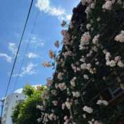 ヒメ日記 2026/02/17 22:25 投稿 白川ももね 五反田ウルトラファンタジー