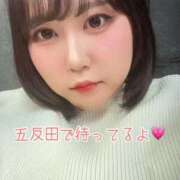 ヒメ日記 2026/02/22 02:17 投稿 白川ももね 五反田ウルトラファンタジー