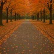 ヒメ日記 2025/10/21 19:27 投稿 宮沢 十恋人～トレンド～