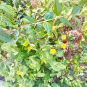 宮沢 春の光の中で 十恋人～トレンド～