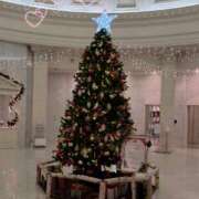 ヒメ日記 2025/11/27 11:37 投稿 千晴(ちはる) 人妻城 横浜本店