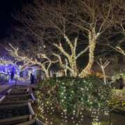 ヒメ日記 2026/02/04 13:46 投稿 千晴(ちはる) 人妻城 横浜本店