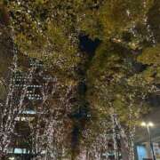 ヒメ日記 2025/12/16 23:02 投稿 伊藤はるな 三丁目の奥様（東京ハレ系）