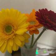 ヒメ日記 2026/02/06 12:51 投稿 伊藤はるな 三丁目の奥様（東京ハレ系）