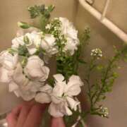 ヒメ日記 2026/03/30 12:08 投稿 伊藤はるな 三丁目の奥様（東京ハレ系）