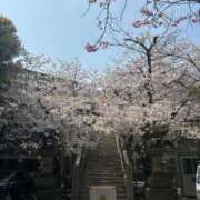 ヒメ日記 2026/03/31 00:05 投稿 伊藤はるな 三丁目の奥様（東京ハレ系）