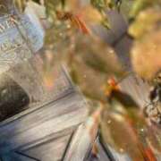 ヒメ日記 2025/12/31 19:04 投稿 なつか 錦糸町人妻セレブリティ（ユメオト）