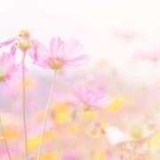 ヒメ日記 2026/01/06 14:52 投稿 なつか 錦糸町人妻セレブリティ（ユメオト）