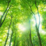 ヒメ日記 2026/01/07 11:29 投稿 なつか 錦糸町人妻セレブリティ（ユメオト）