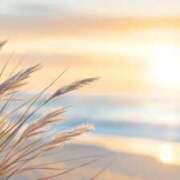 ヒメ日記 2026/01/12 13:51 投稿 なつか 錦糸町人妻セレブリティ（ユメオト）