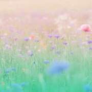 なつか 出勤します！！ 錦糸町人妻セレブリティ（ユメオト）