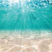 ヒメ日記 2026/03/24 17:14 投稿 なつか 錦糸町人妻セレブリティ（ユメオト）