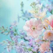 ヒメ日記 2026/04/12 15:57 投稿 なつか 錦糸町人妻セレブリティ（ユメオト）