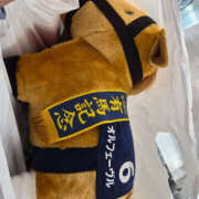 ヒメ日記 2025/12/15 06:18 投稿 あやは ハピネス＆ドリーム福岡